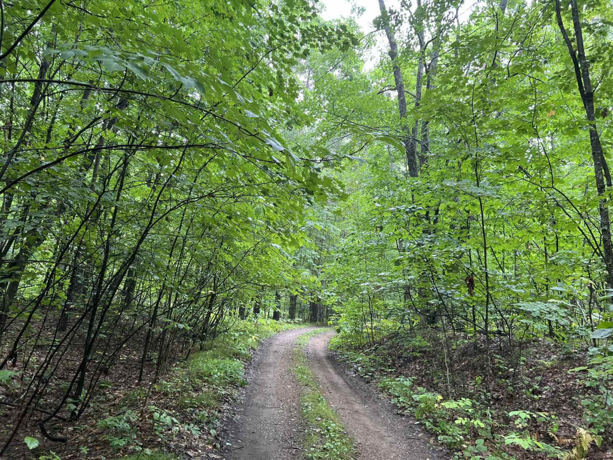 FS 2271 trail photo