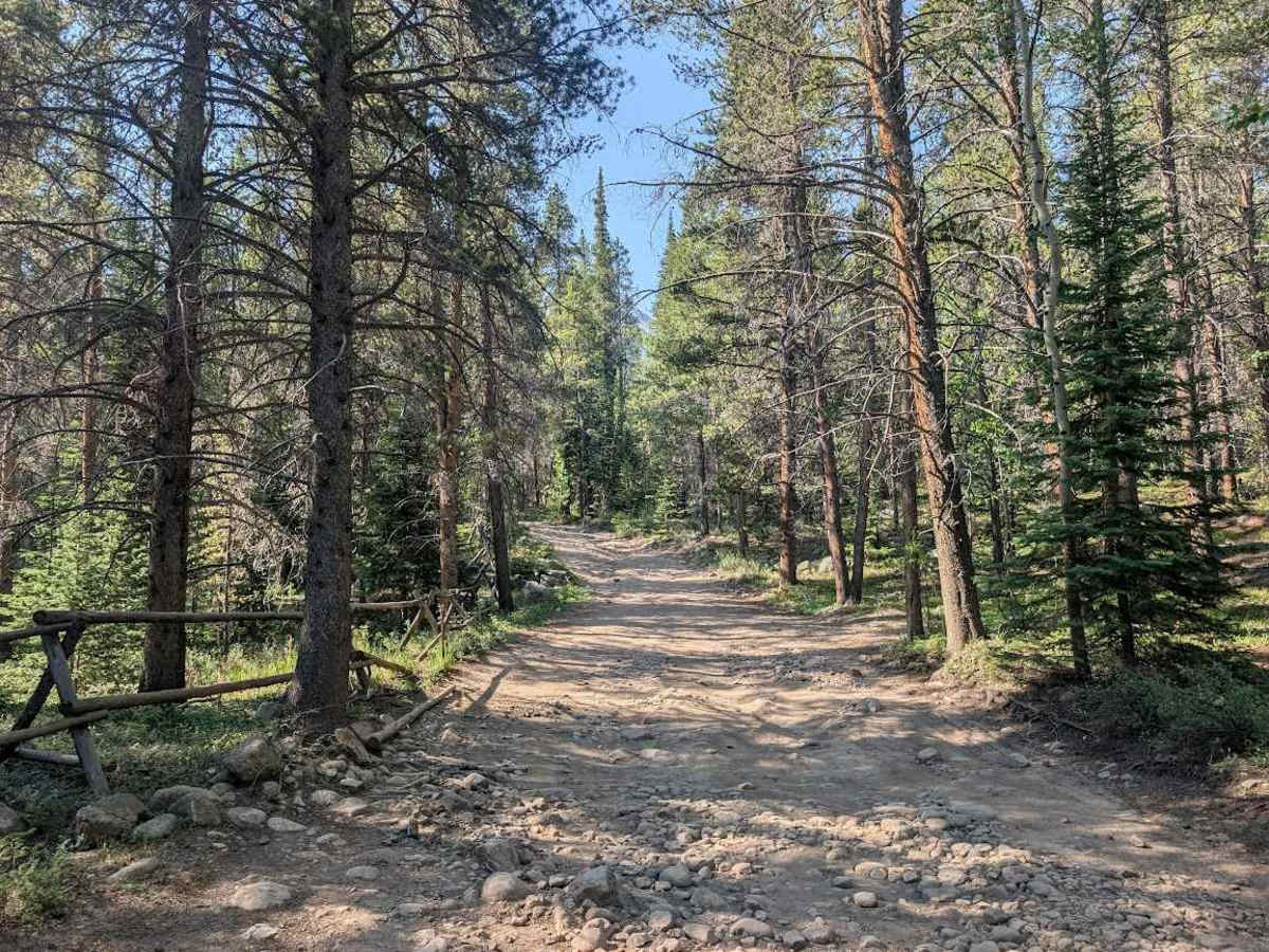 South Fork Lake Creek Road photo 2