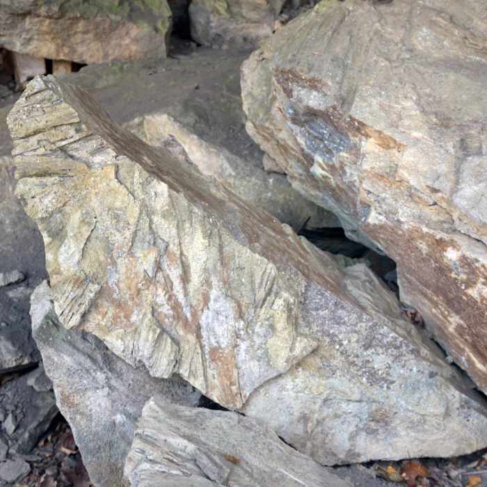 Near Alum Cave Trail Loop Near Alum Cave Trail Loop