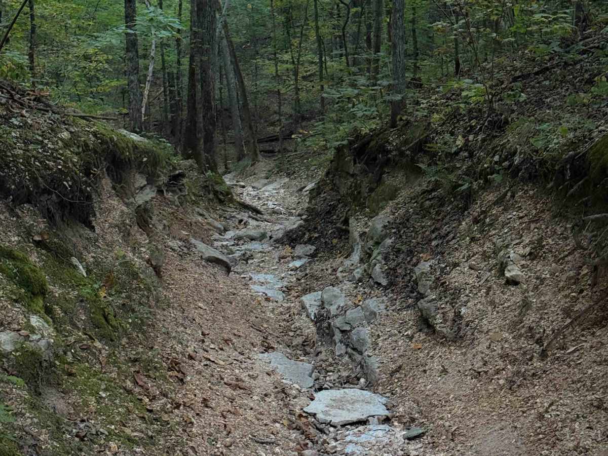 140 trail photo