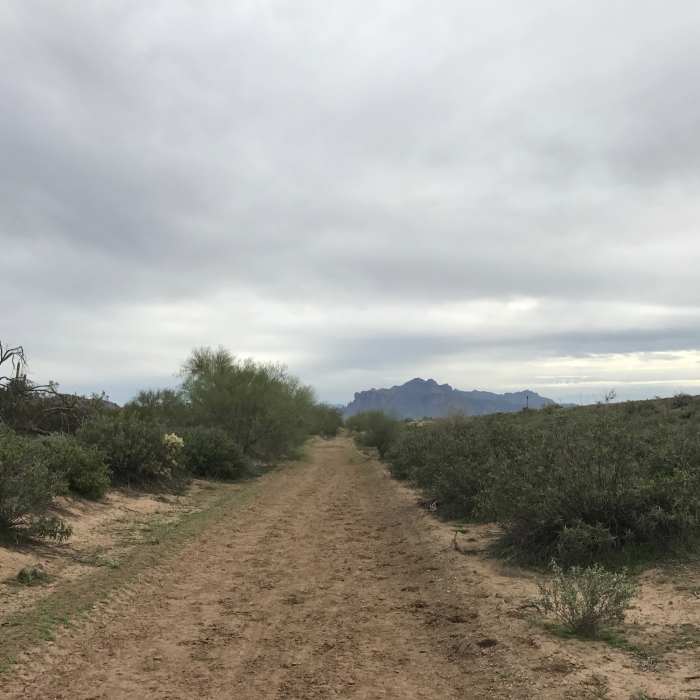 Near Usery Park Large Loop - South Side