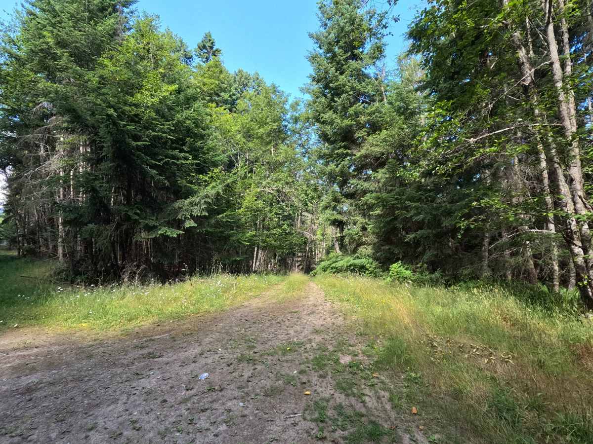 FS 2878110 trail photo