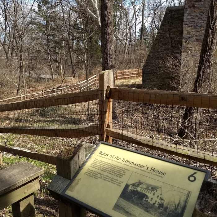 Near Catoctin Furnace Trail