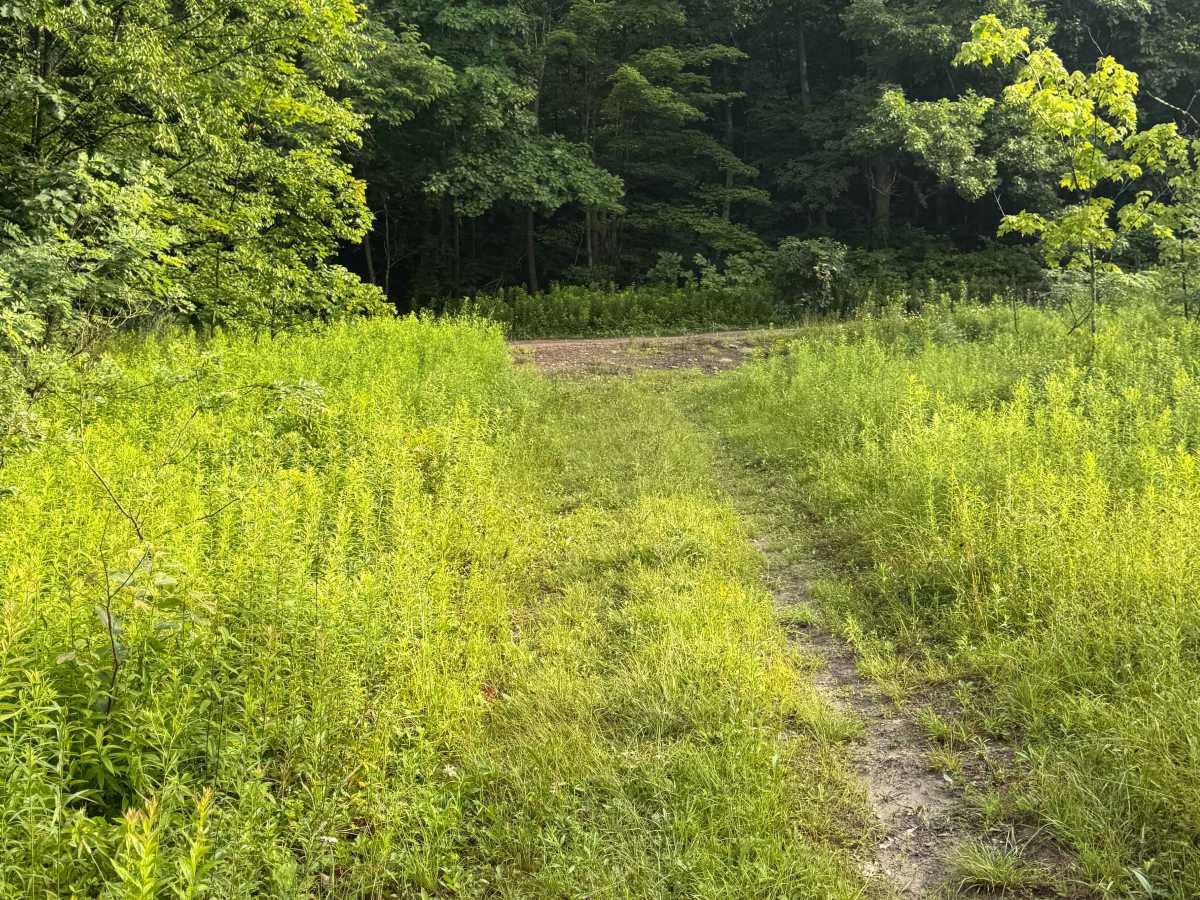 Trail 50 photo 5
