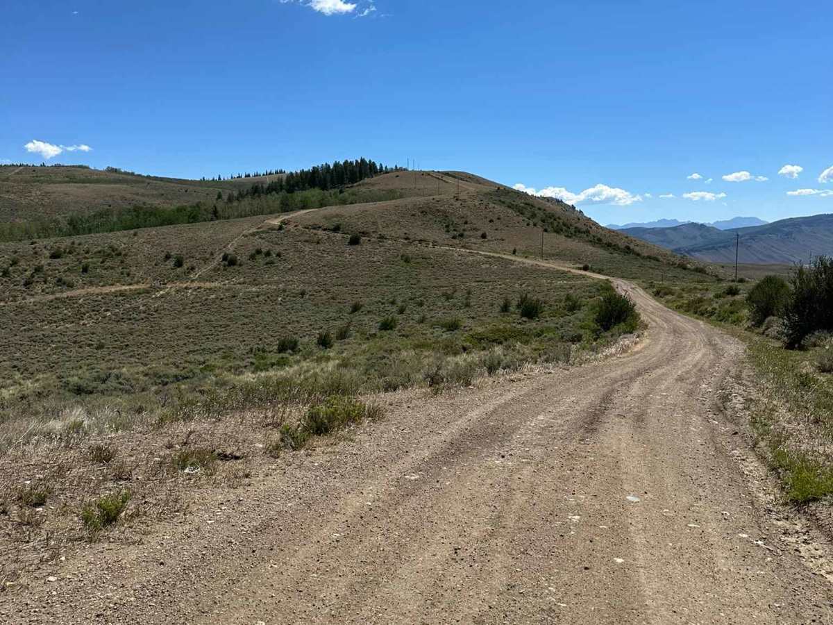 BLM 2759 photo 5