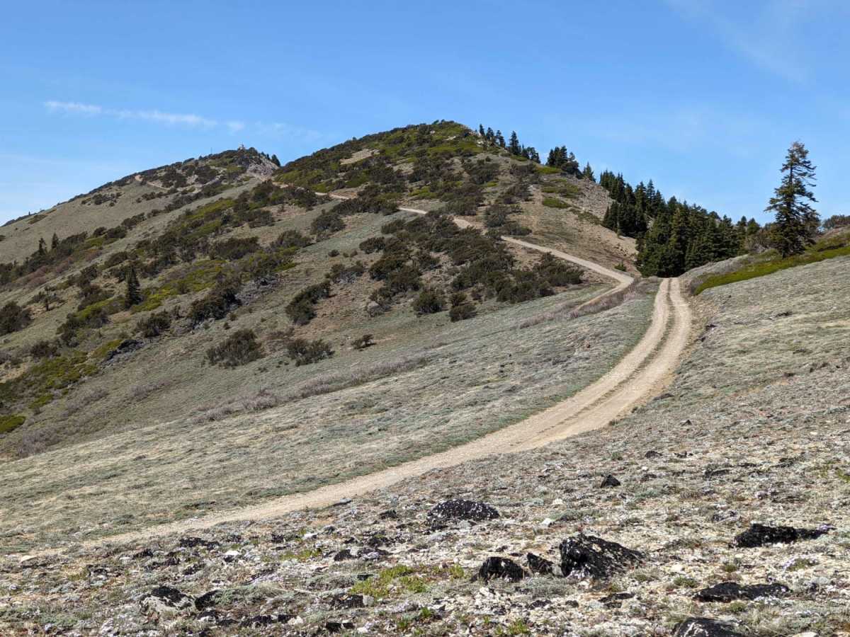 Wagner & Siskiyou photo 4