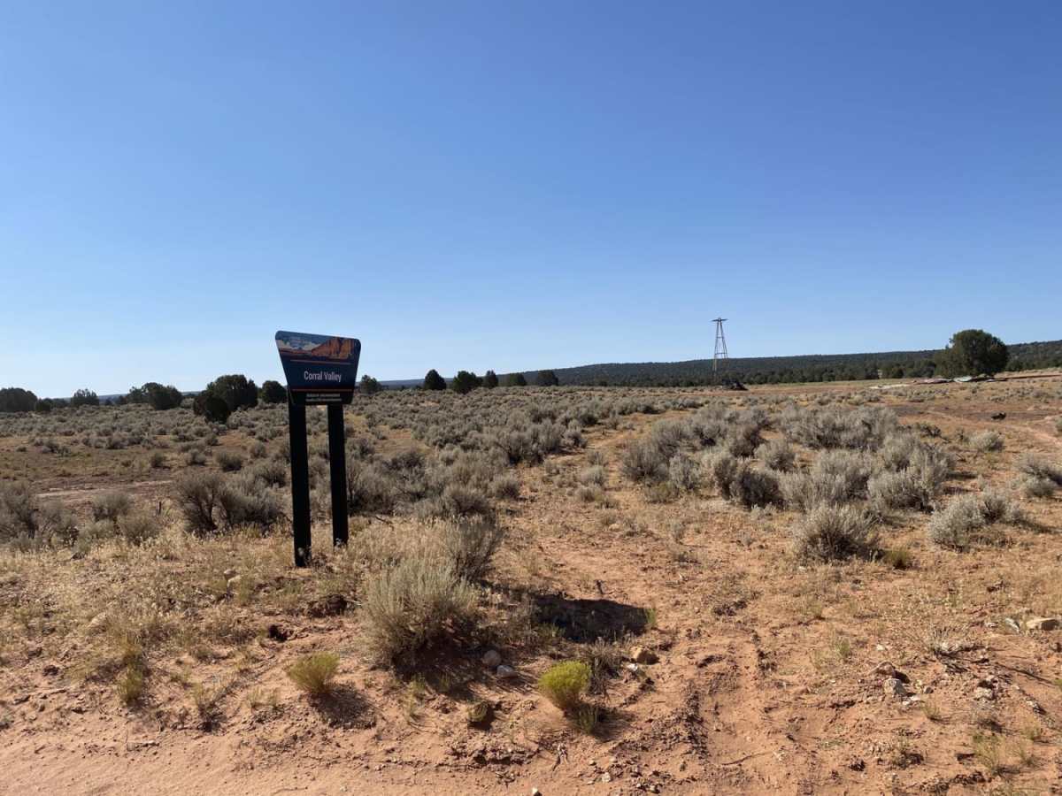 Pine Tree Road photo 4