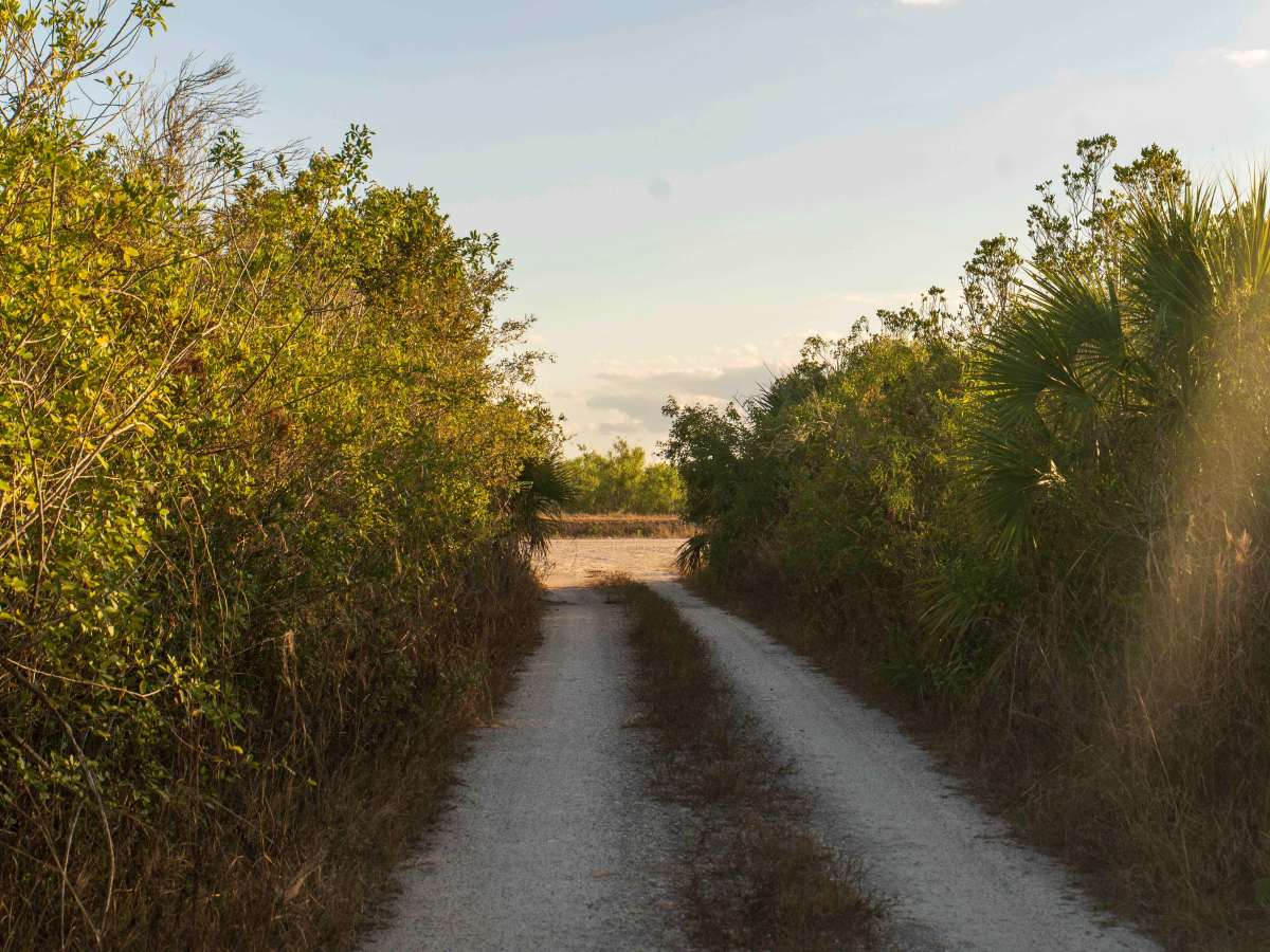 East Miami Canal  photo 2