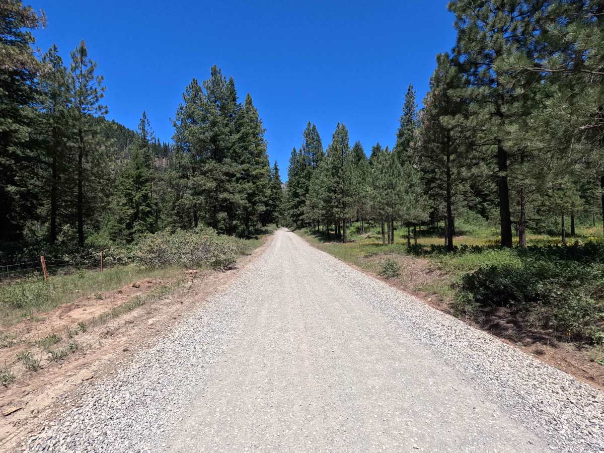 North Fork Teanaway Road - FS 9737 photo 4