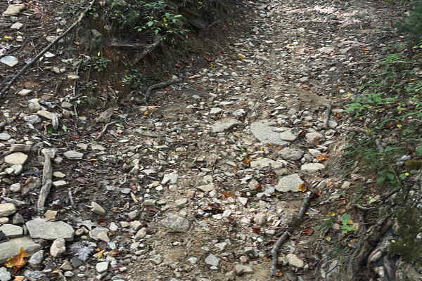 Moates Knob - Oakey Mountain OHV
