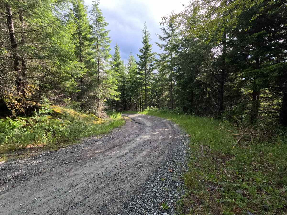 Lower Illabot Road - FS 16 photo 3