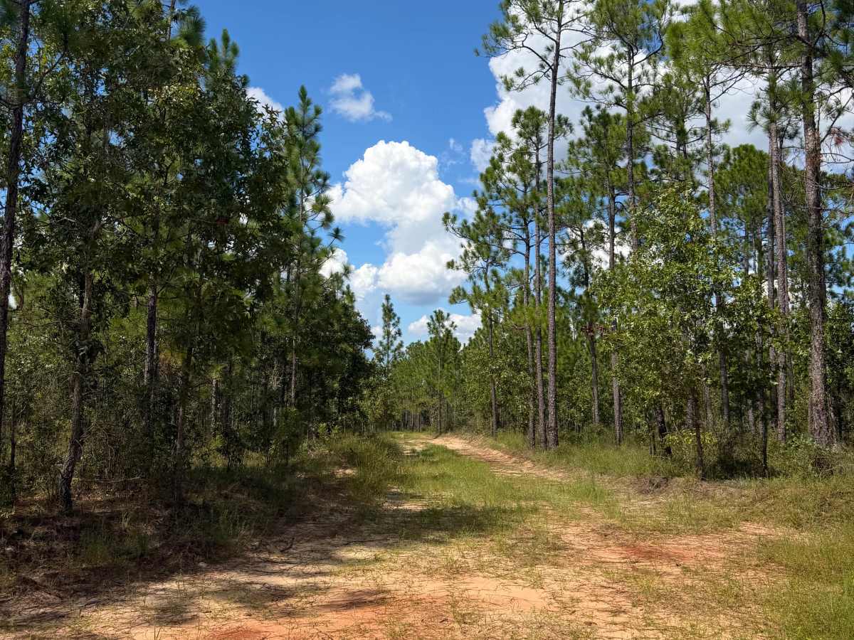 Blackwater River R68 trail photo