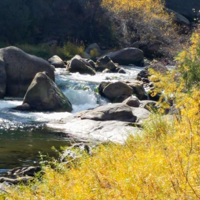 Looking Upstream - Majestic Boulders scattered in the South Fork of the South Platte River. Near Platte River #654