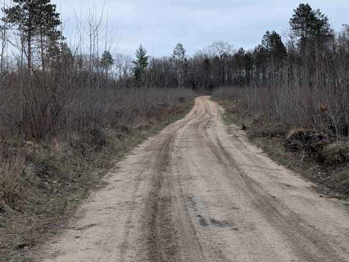 Riske Road photo 4