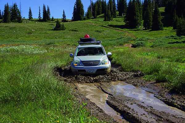 Grizzly Jeep Trail