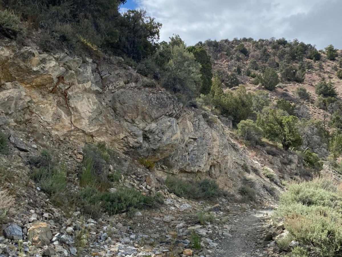 Old Man Canyon / Seven Devils Hot Springs photo 4