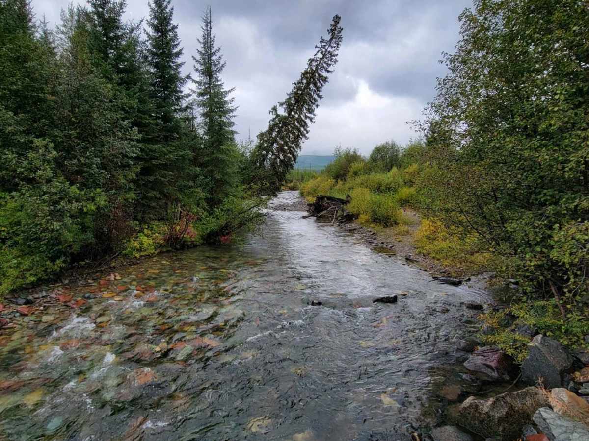 North Fork Road photo 6