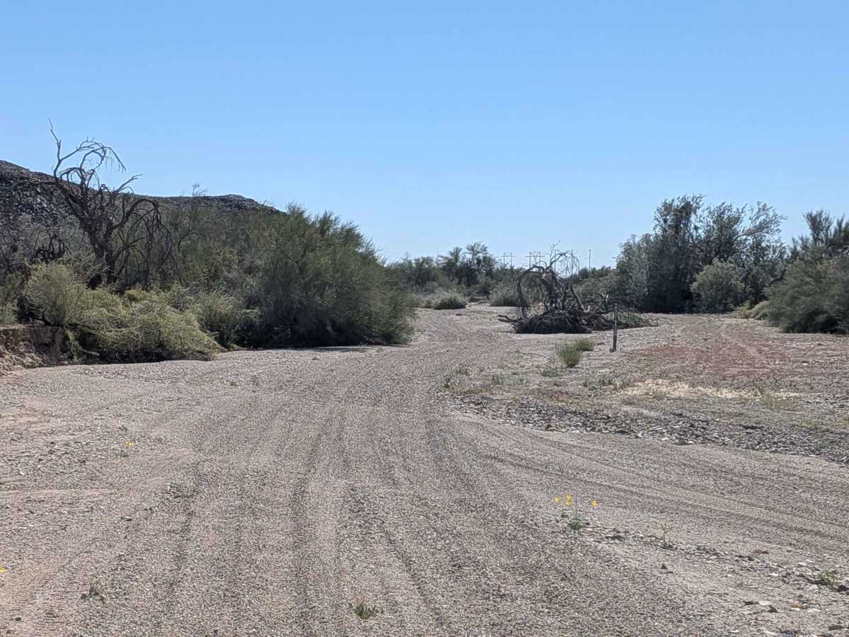 BLM 731 photo 3
