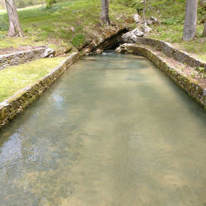 Near Head of Sequatchie Loop Trail