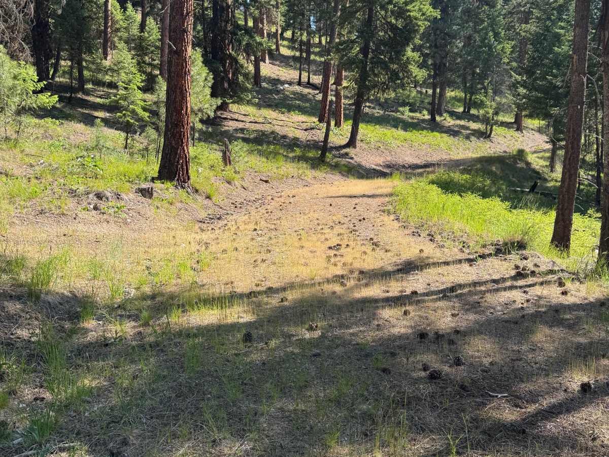 Mayo Gulch  photo 3