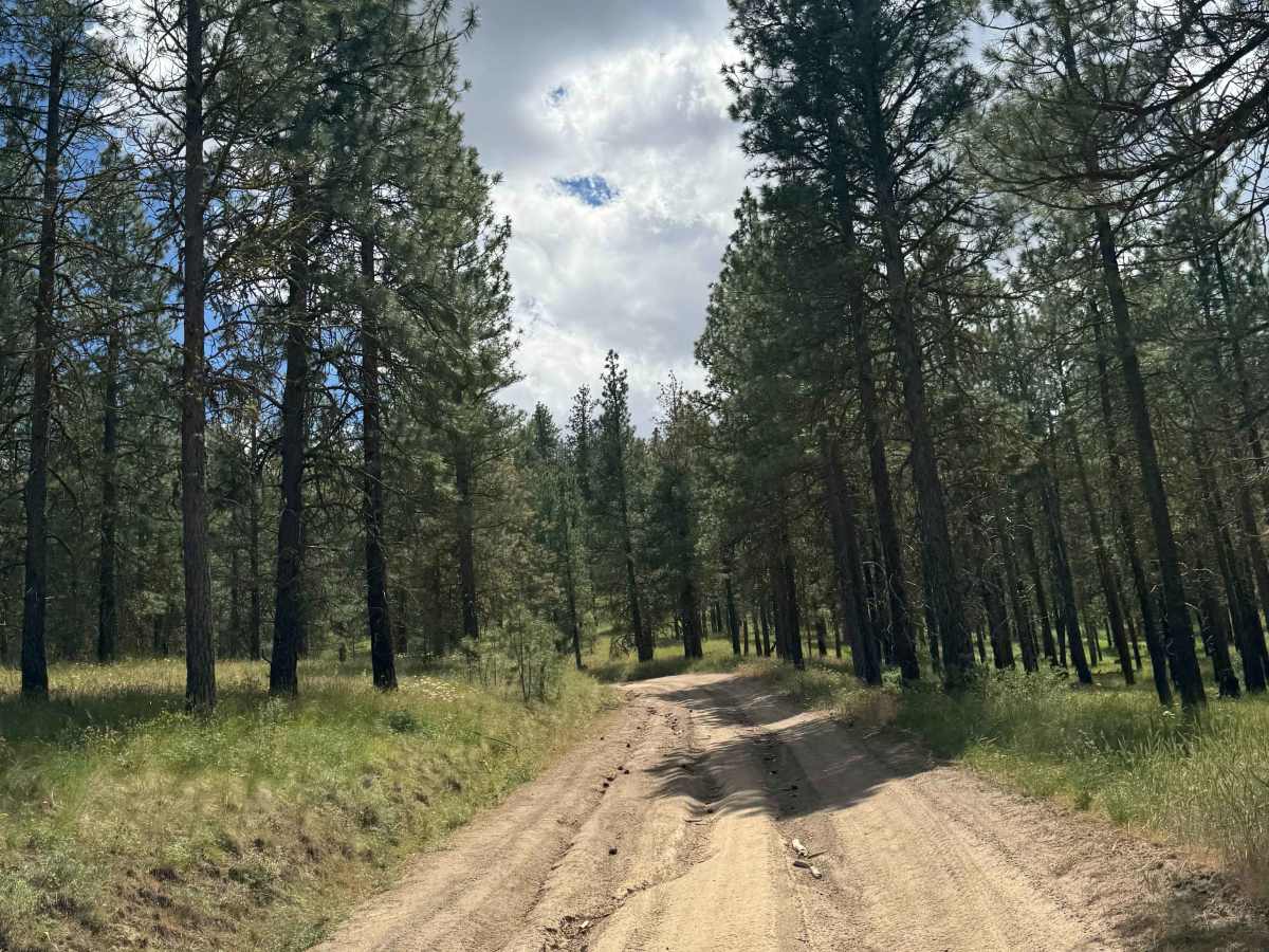 Milk Canyon Road trail photo