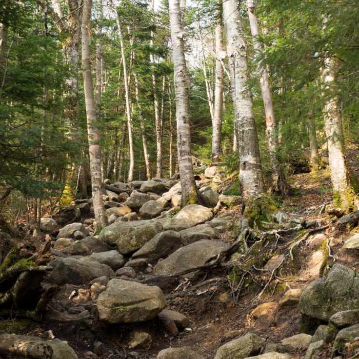 Near Lonesome Lake Trail Near Lonesome Lake Trail