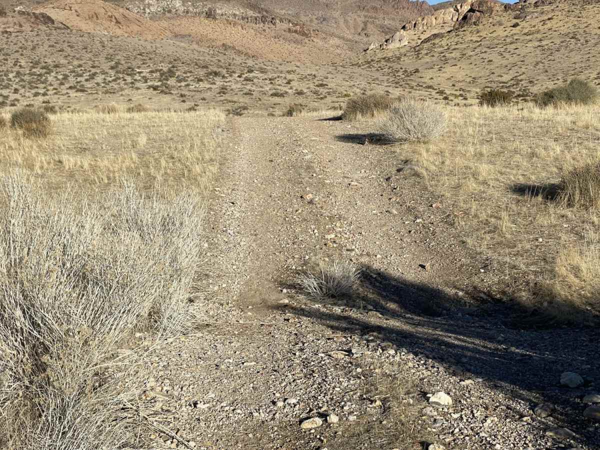 Chukar Canyon Road photo 5