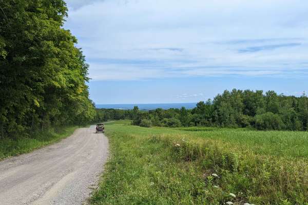 Jones Road