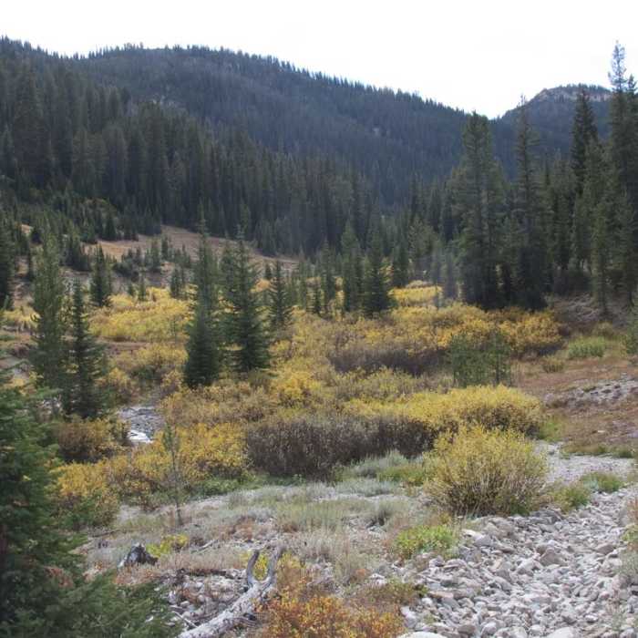 Near Johnson Creek to North Fork of the Ross Fork Near Johnson Creek to North Fork of the Ross Fork