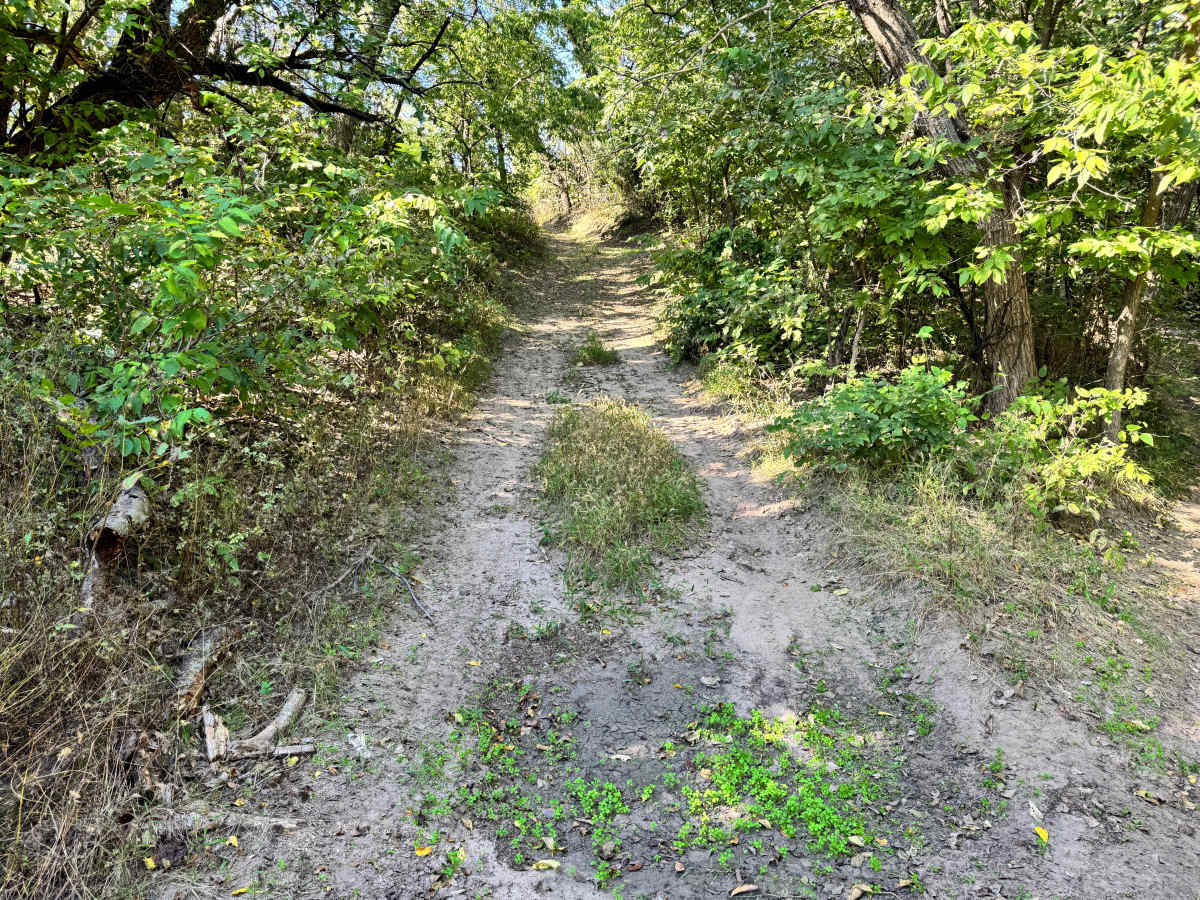 Intercooler Junction trail photo