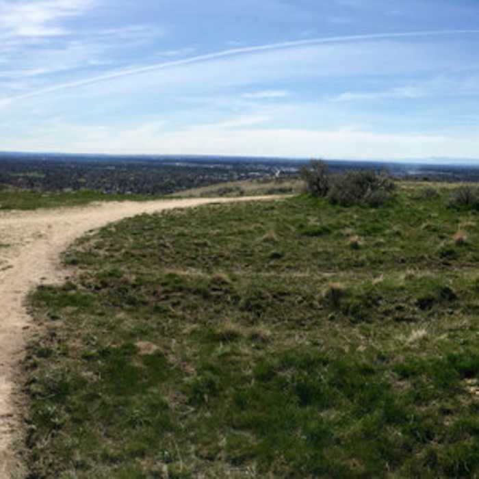 Near Seaman's Gulch Trail #110