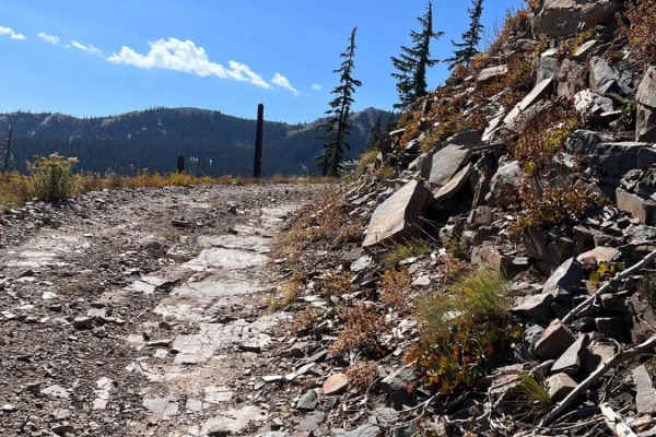 Pilgrim Creek Trail