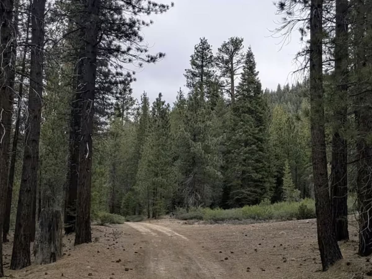 Big Meadow - FS 23S07 photo 4