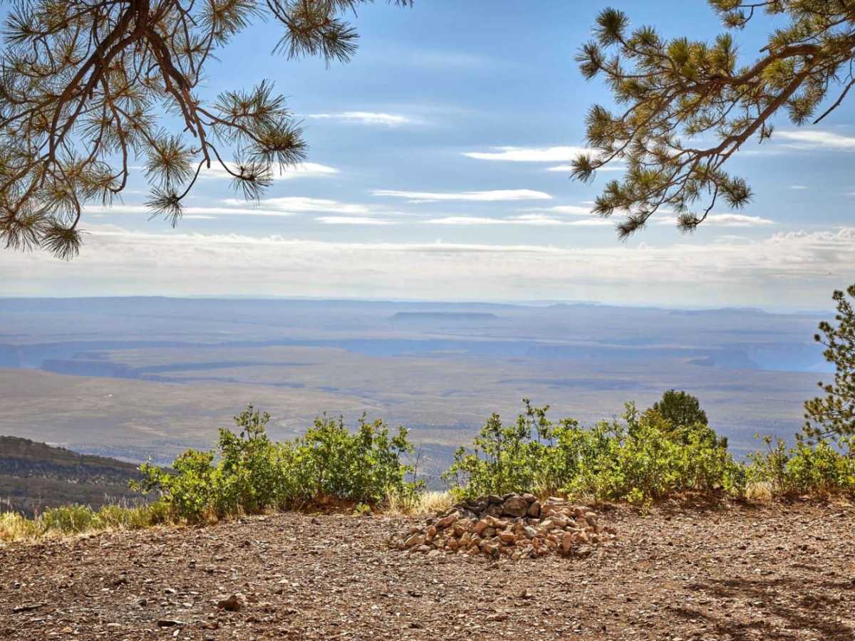 611P trail photo