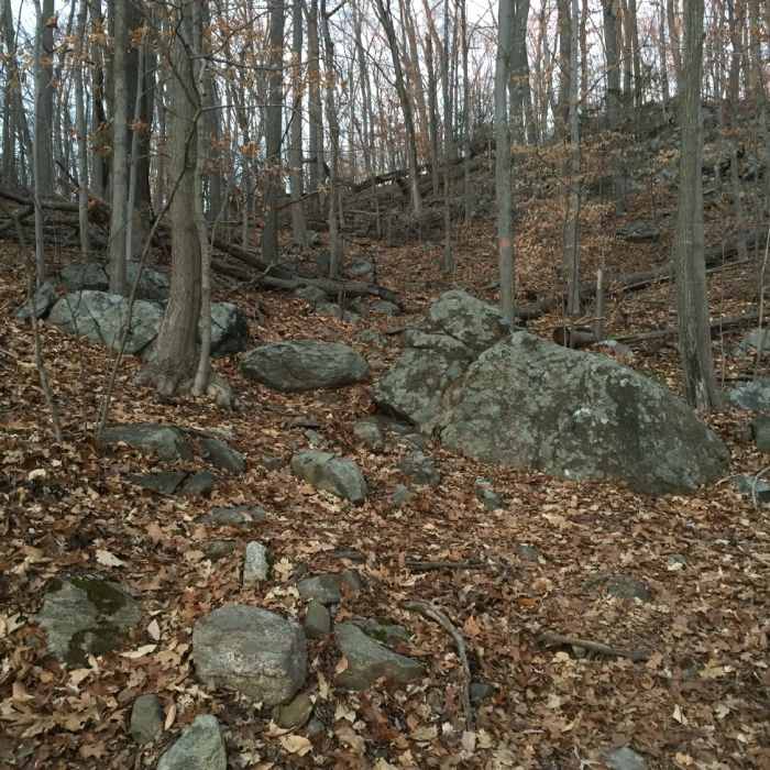 Near Blue Trail