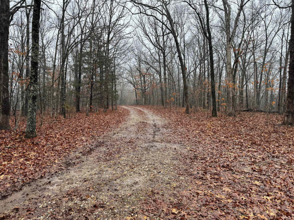FSR 1708A trail photo