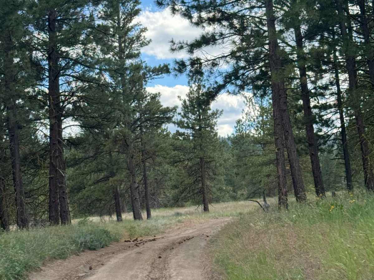 Mill Canyon Road photo 6