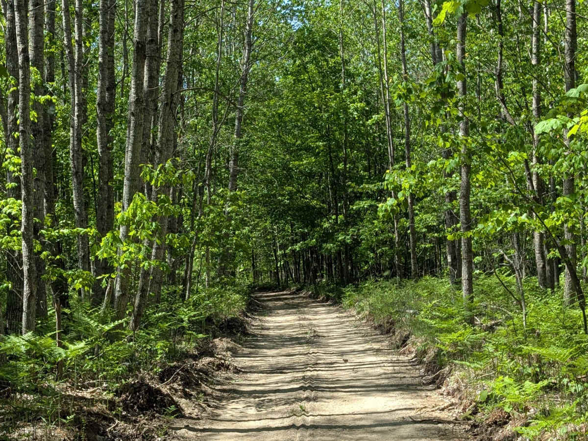 Newman Road photo 4