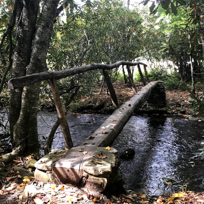 Near Big Fork Ridge Trail