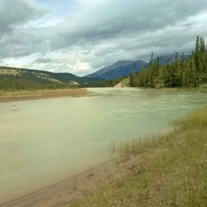 A side channel of the Athabasca River rounds a bend to join the main channel, looking north from Athabasca River Trail. Near Athabasca River Trail
