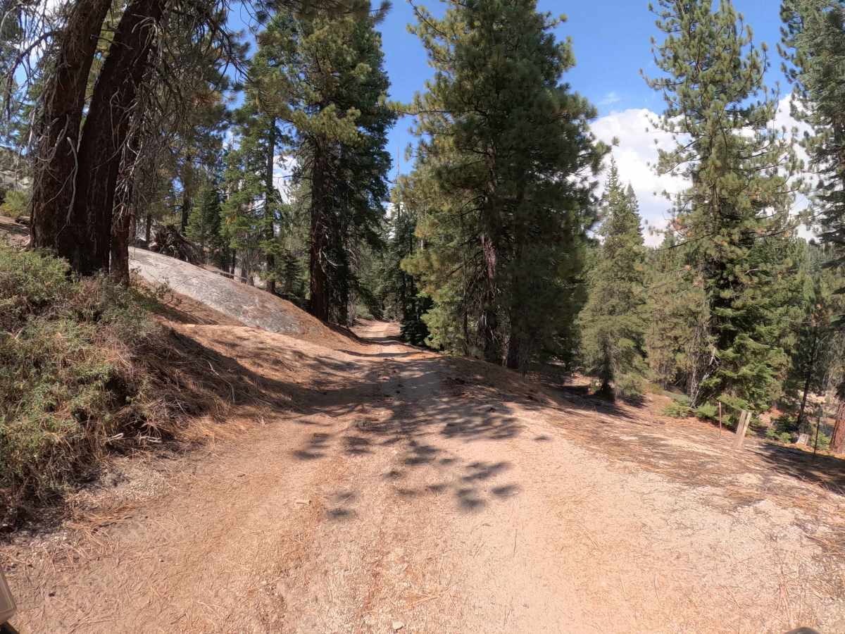 Minarets 63 - FS 5S020Y trail photo