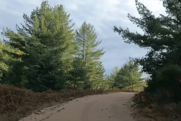 Camp 9 Road Continued
