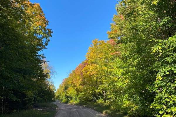 Candy Cane Lane - Trail 419