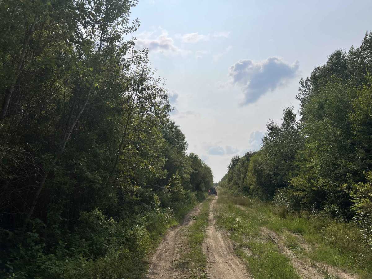 Beaver Creek Road photo 2