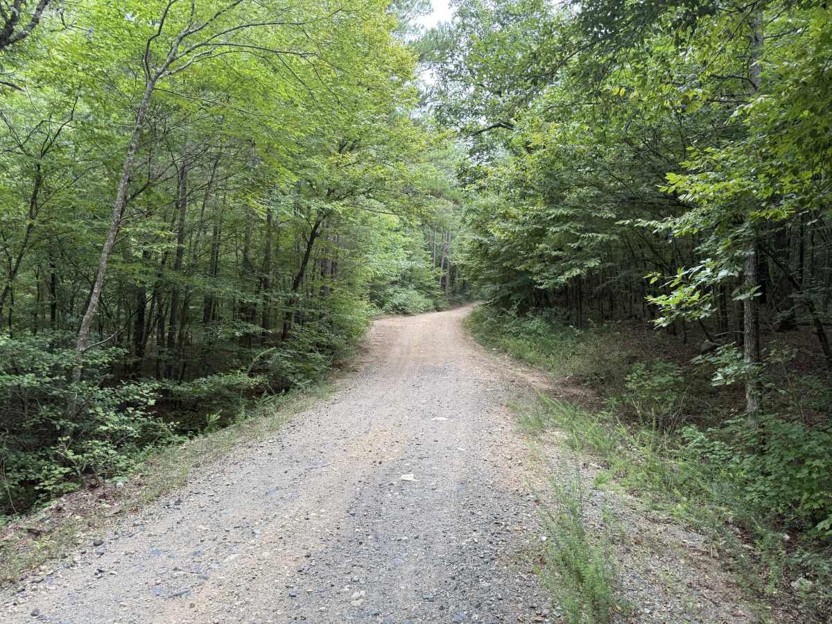 Holly Brier trail photo