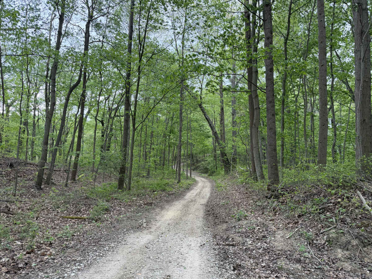 Copperhead Trail photo 4