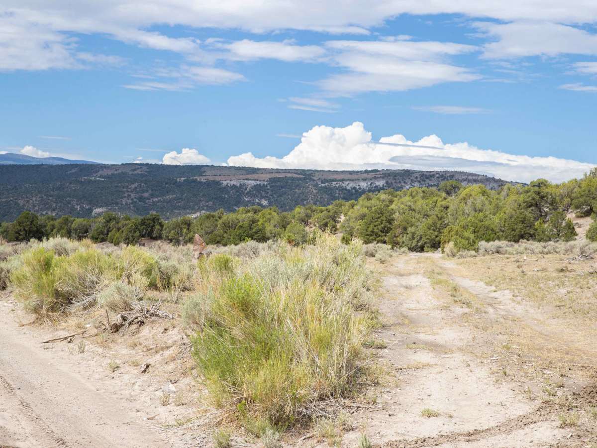 Teah Flat Road photo 2