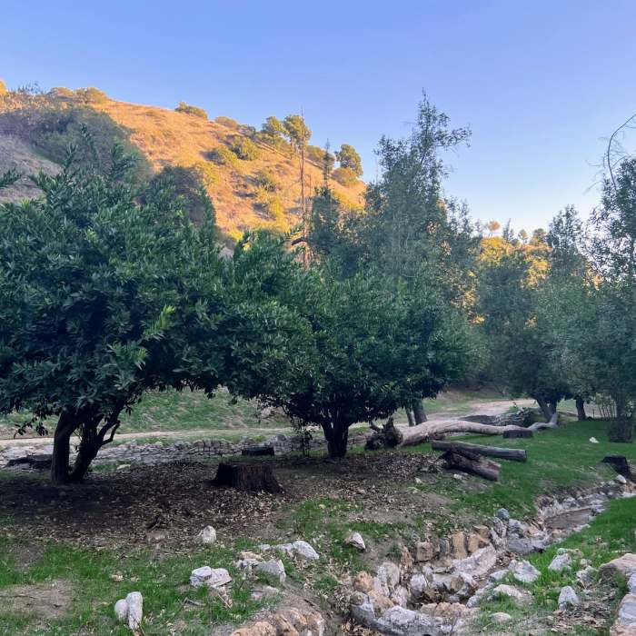 Near Bird Sanctuary Loop