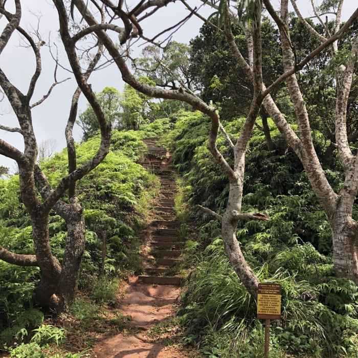 Stairs Near Wiliwilinui Ridge Trail