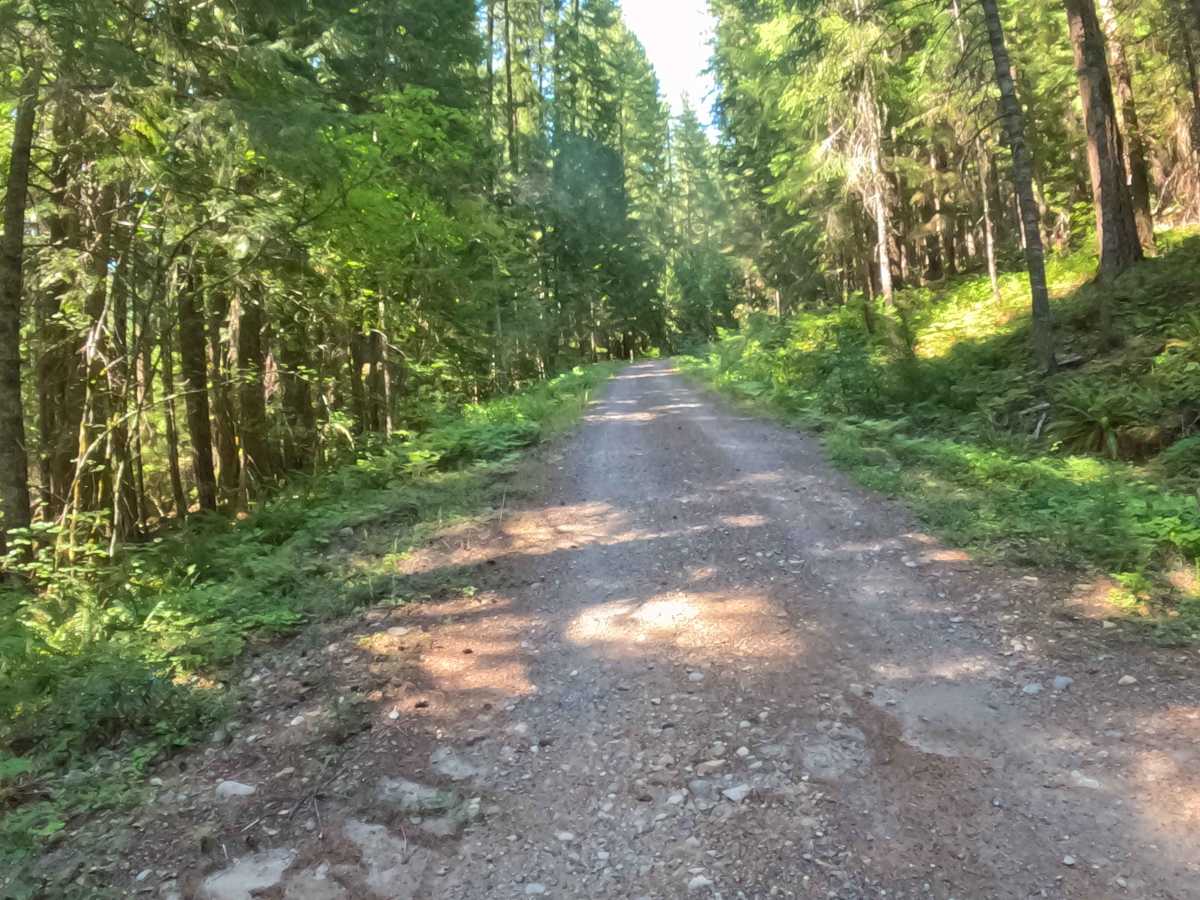 Minto Mountain Road - FS 2253125 photo 5